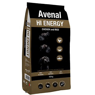 Avenal Dog