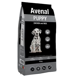 Avenal Dog