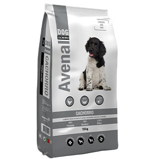 Avenal Dog