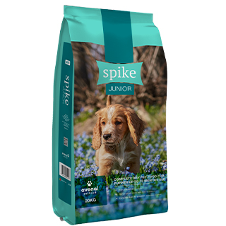 Spike Dog