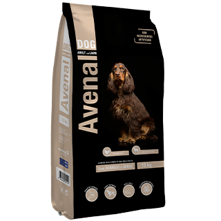 Avenal Dog