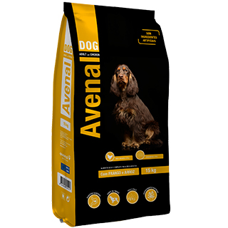 Avenal Dog