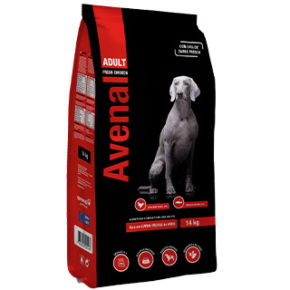Avenal Dog