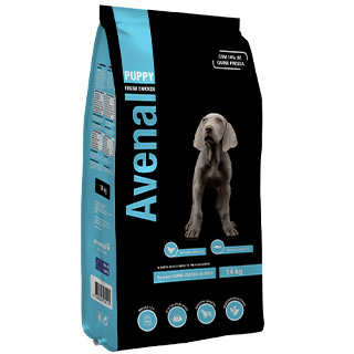 Avenal Dog